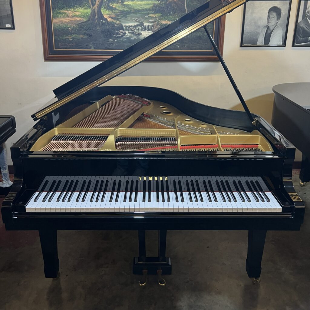 1st grand piano box